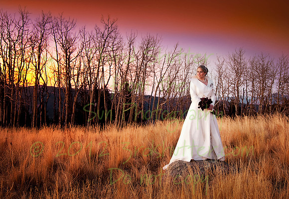 _MG_3756-Edit-Edit-Edit-3