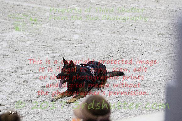 0E5A5595