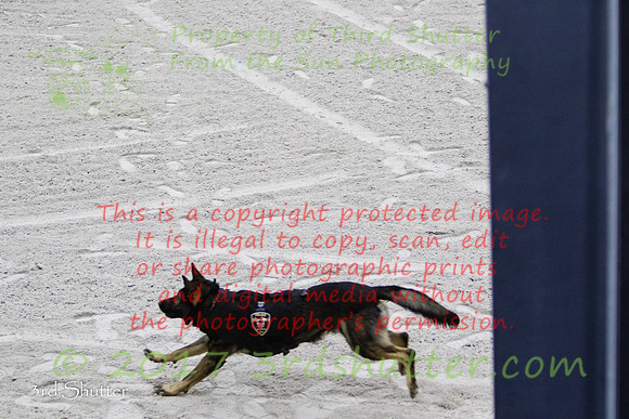 0E5A5584