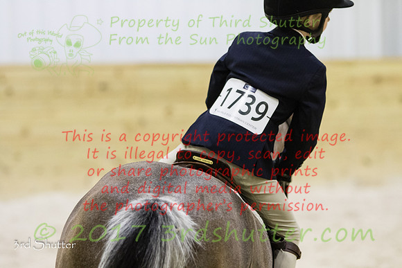 4R1A1684