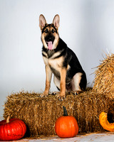 IMG_2439-Edit