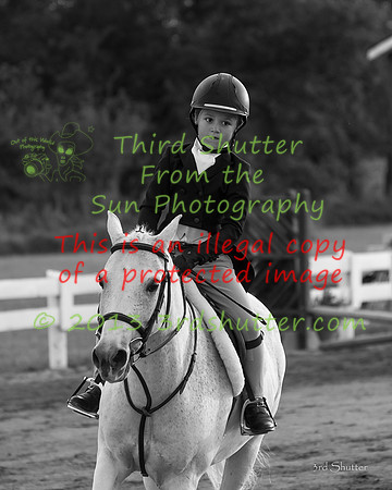 130817_WalkTrotClassic_0333
