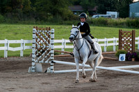 130817_WalkTrotClassic_0324