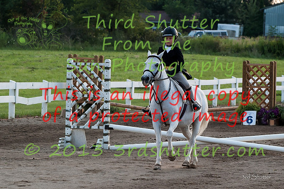130817_WalkTrotClassic_0324