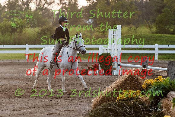 130817_WalkTrotClassic_0326