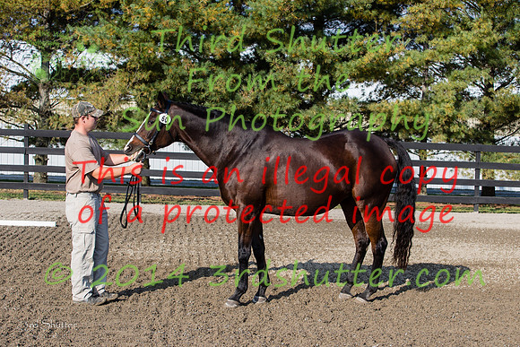 F43Q3151