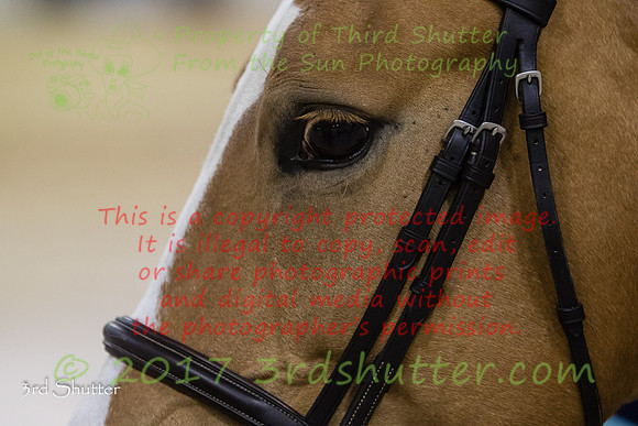 0E5A9429