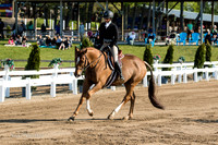 BV2A6175