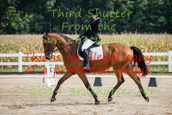 F43Q7398