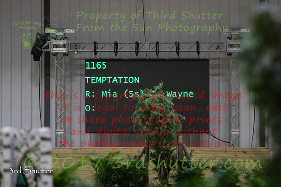 0E5A8125