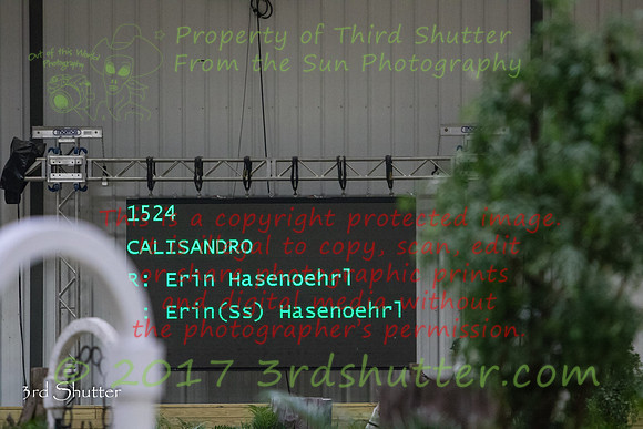 0E5A6217