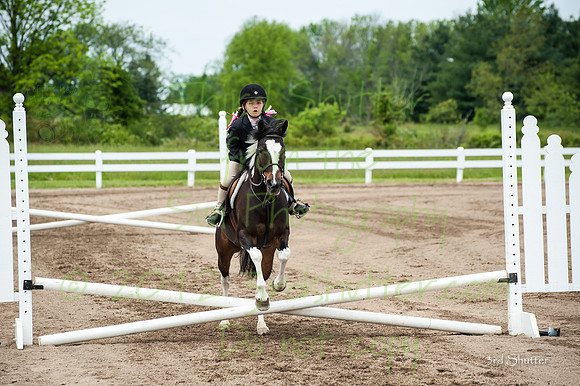 _DSC8551