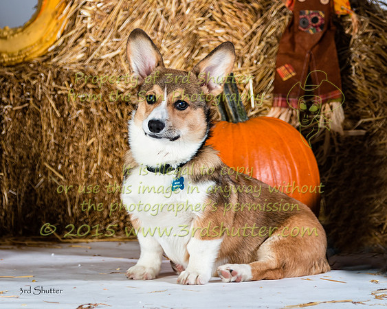 IMG_2267-Edit