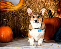 IMG_2262-Edit