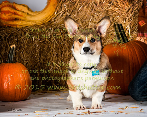 IMG_2262-Edit
