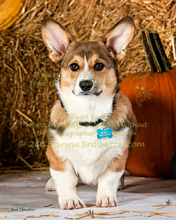 IMG_2262-Edit-2