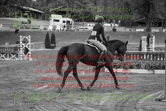 BV2A5416-2