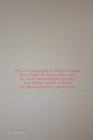 0E5A9414