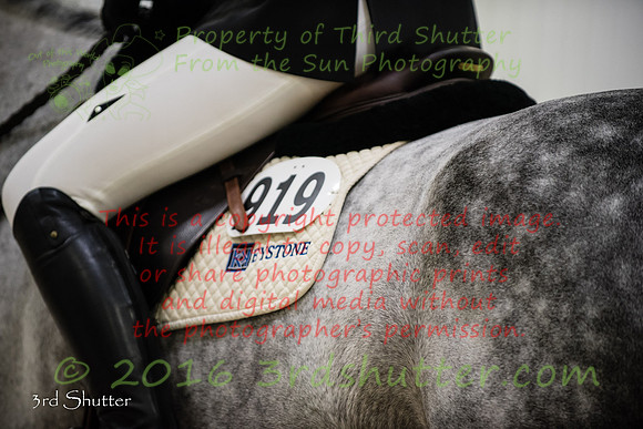 SF1_9045