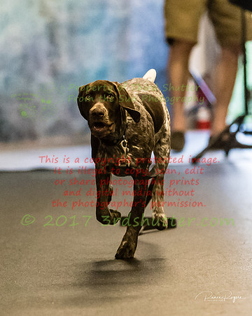 A18I0193
