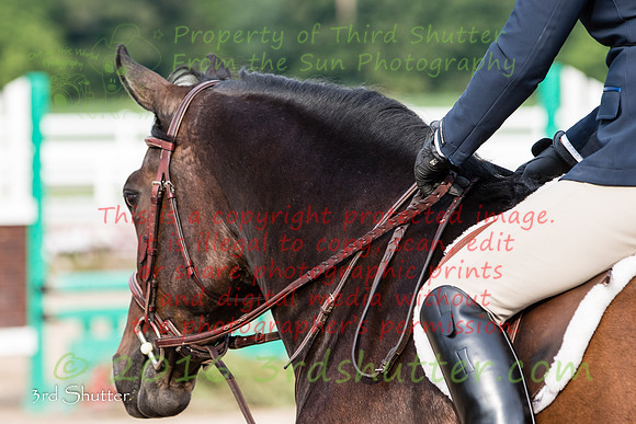 BV2A1611