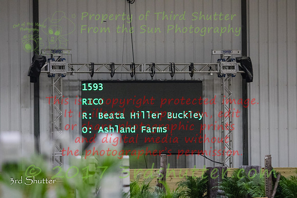 0E5A6767