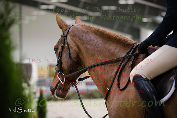 _1SF7838