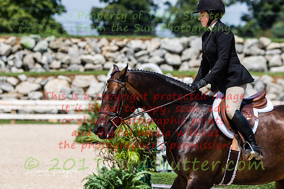 0M3A0161-2