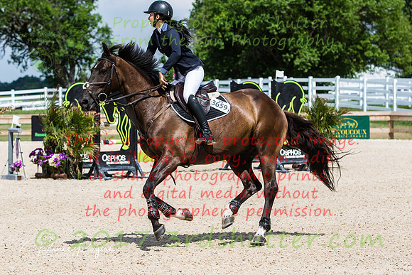 BV2A0042-3