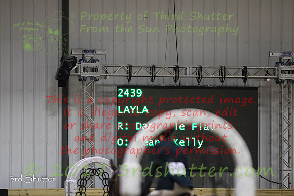 0E5A3499