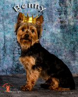 A18I9774-Edit-Edit