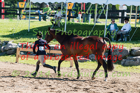 IMG_9874