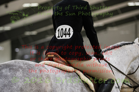 _1SF1898