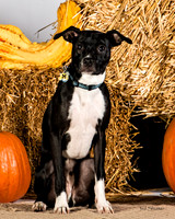 IMG_2163-Edit-2