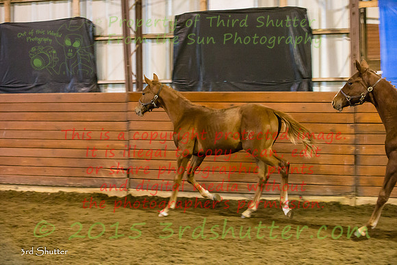 F43Q0244