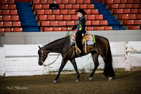 Western Pleasure - AQHA Novice Amateur