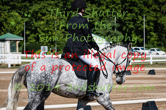 IMG_6261