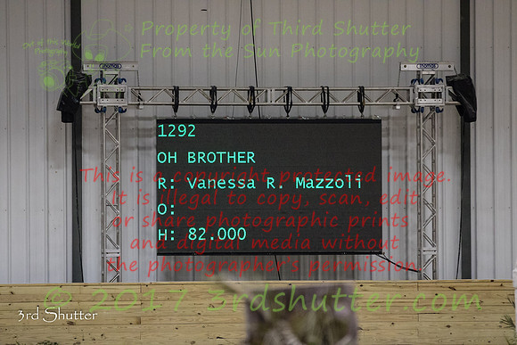 BV2A9777-2