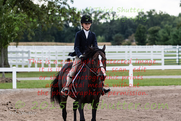 BV2A3330