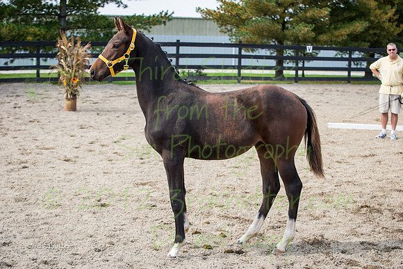 F43Q2136