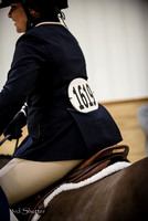 _1SF2896