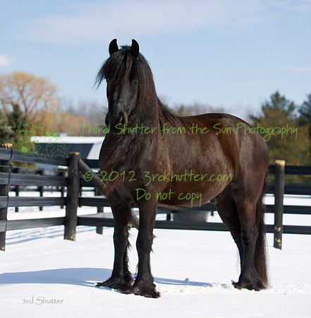 The Farm_0B2D9727