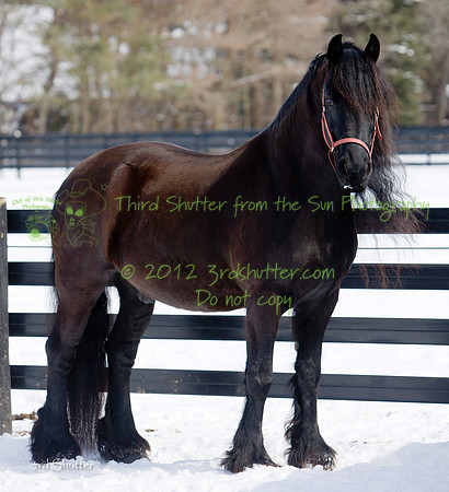 The Farm_0B2D9711
