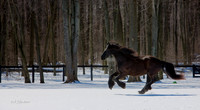 The Farm_0B2D9823-Edit