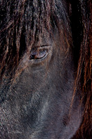 The Farm_0B2D9866