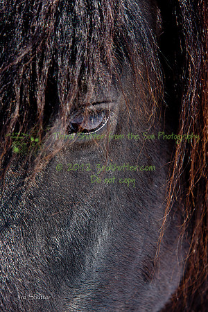 The Farm_0B2D9866