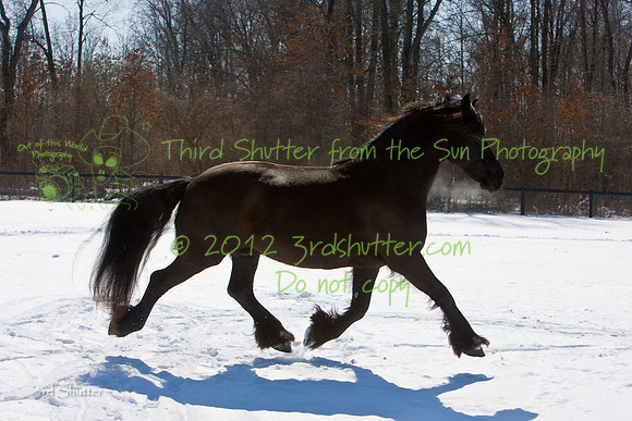 The Farm_0B2D9838