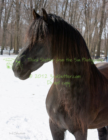 The Farm_0B2D9792