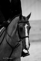 _SF10689-2