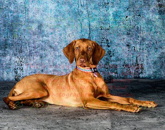 A18I5331-Edit-2